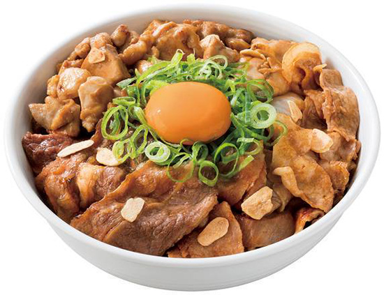 0 nishi kanazawa yoshinoya rute8