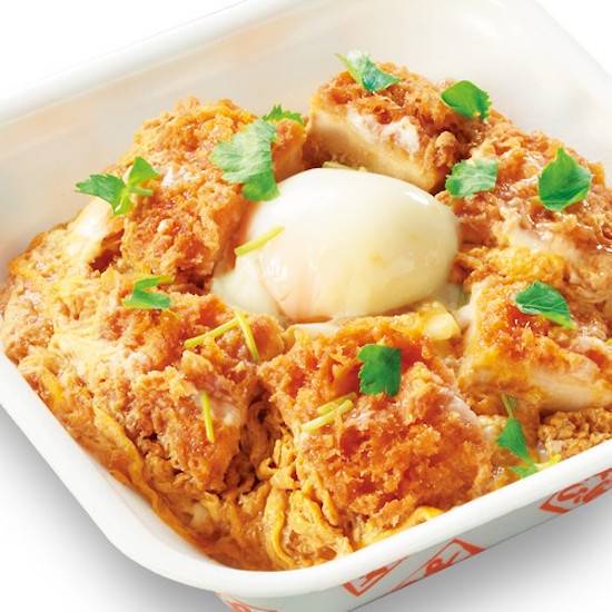 0 fujisawa katsuya katsudon special